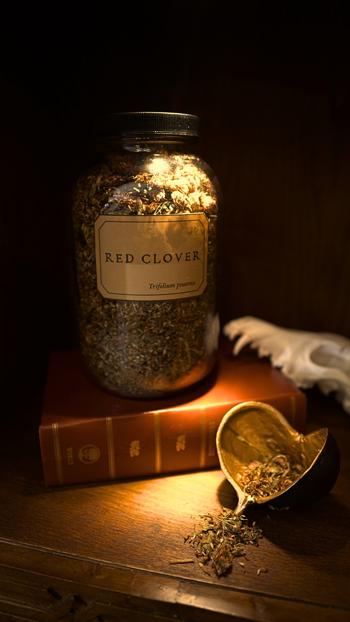 Red Clover Tops