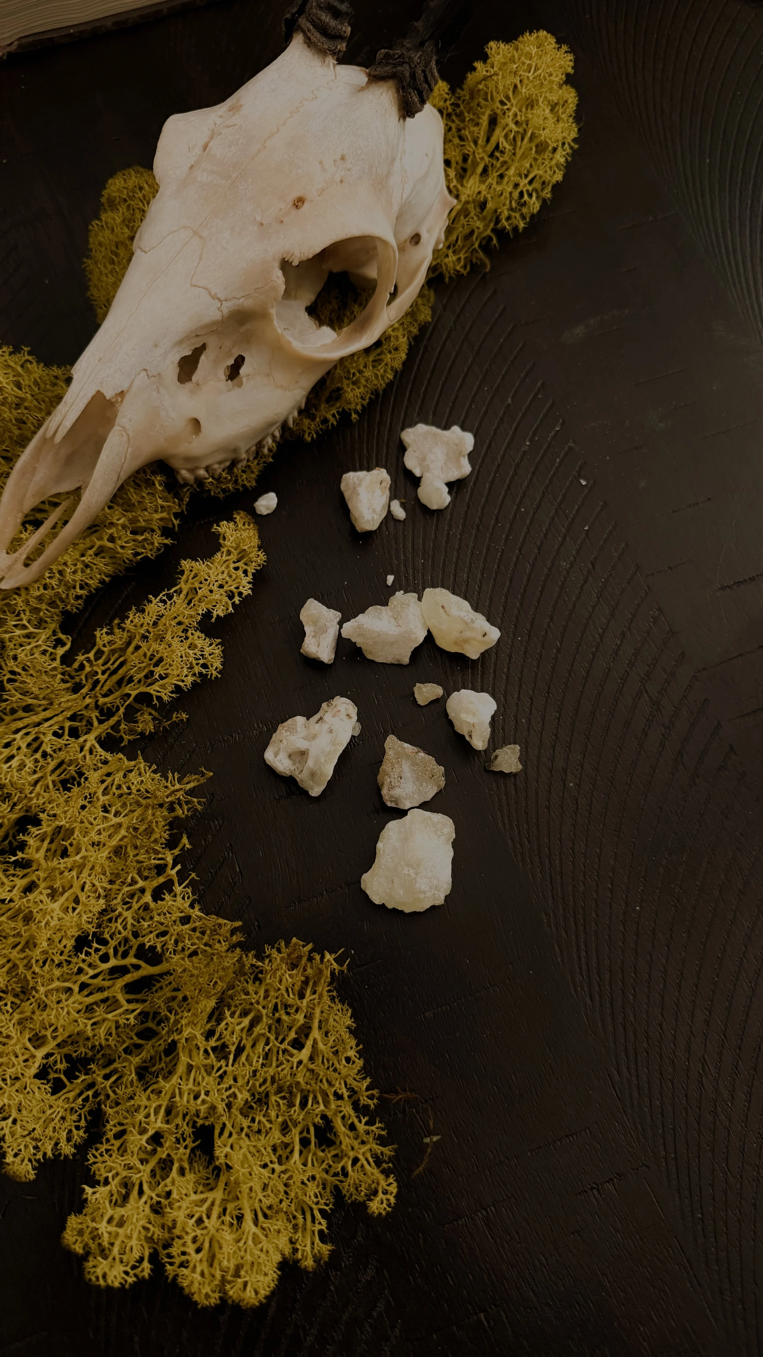Copal Resin