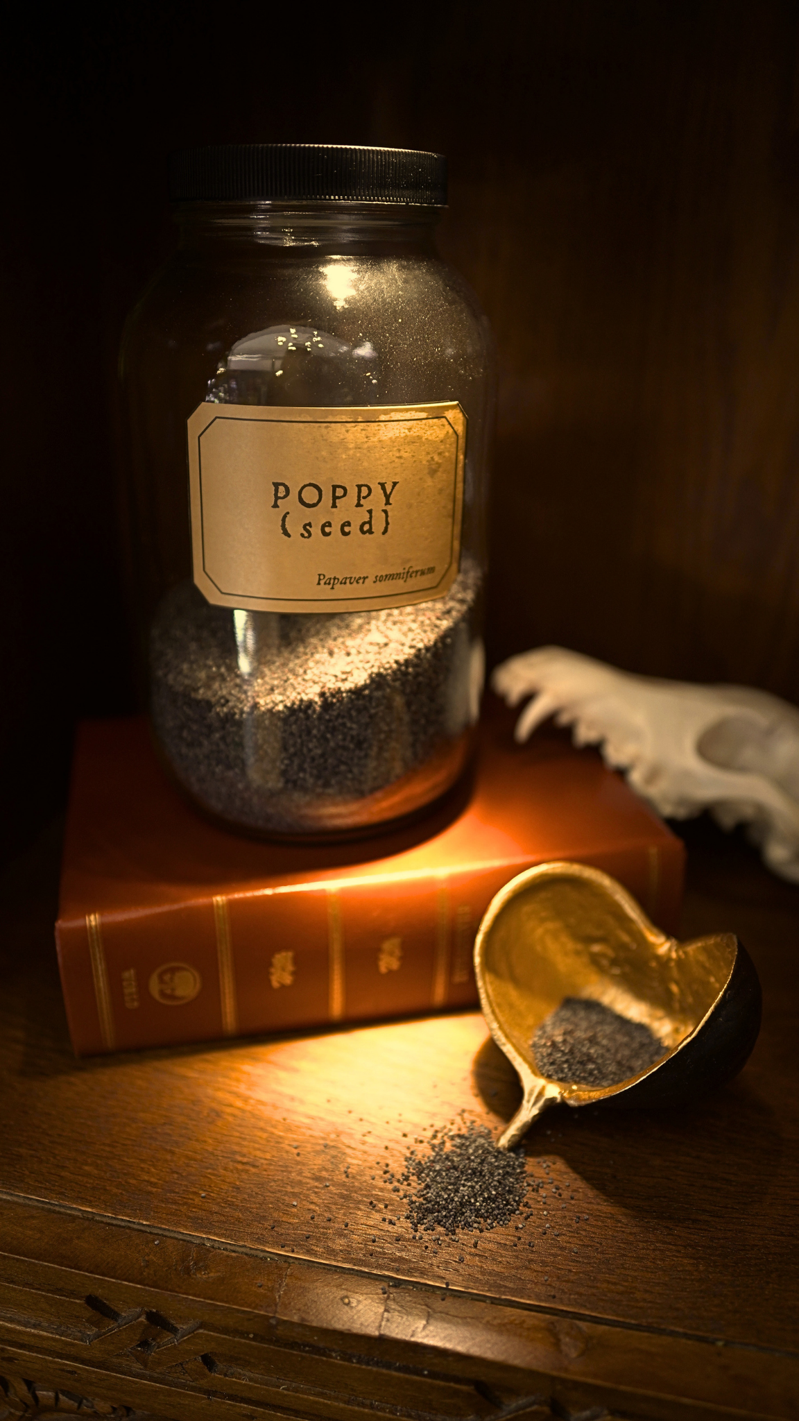 Poppy Seed