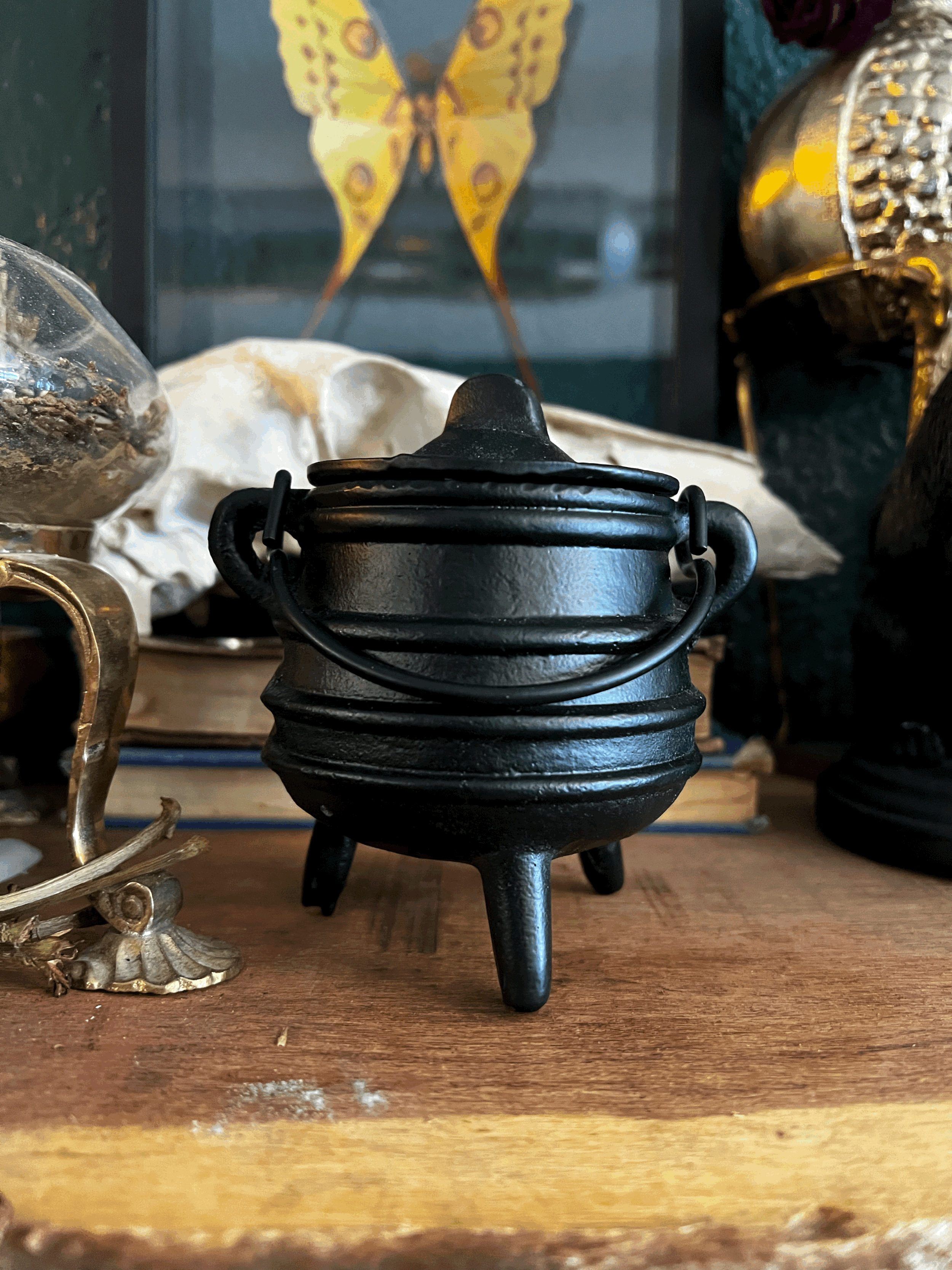 Bee Hive Case Iron Cauldron with Lid
