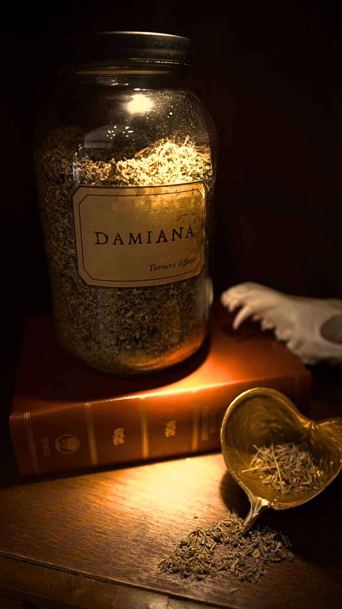 Damiana