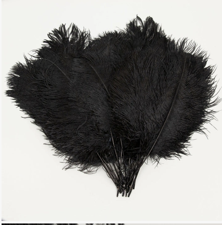 Black Ostrich Tail Feather