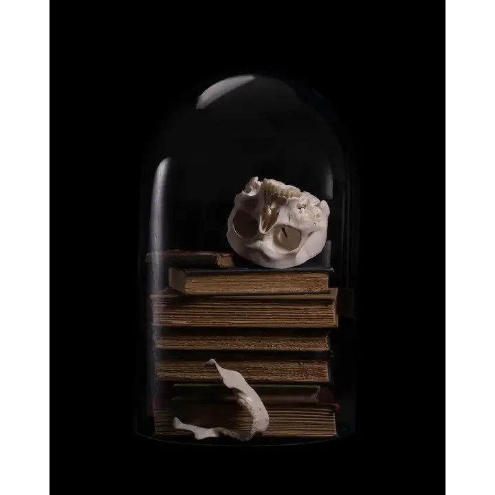 'Enlightenment' - Fine Art Print