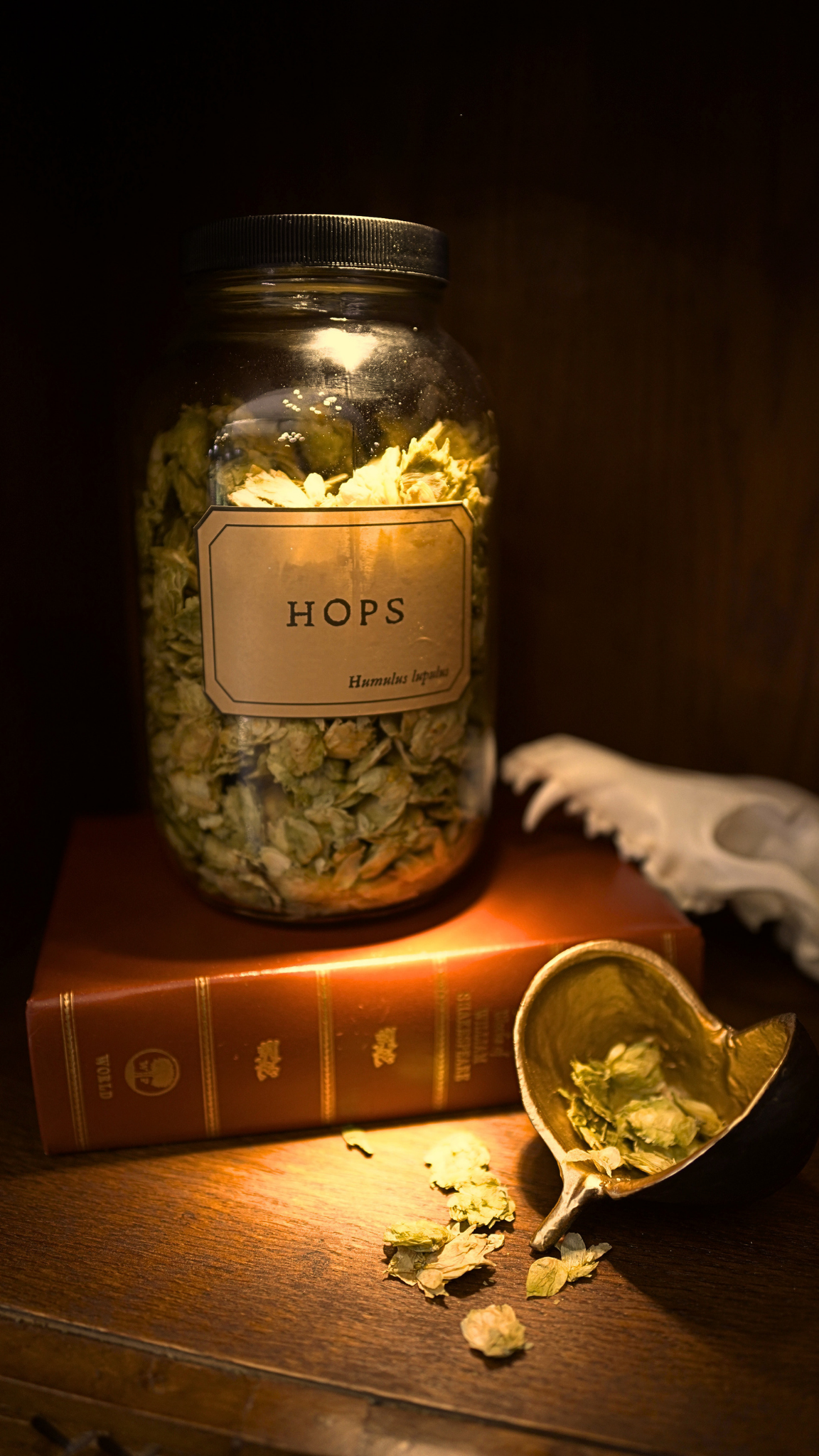 Hops