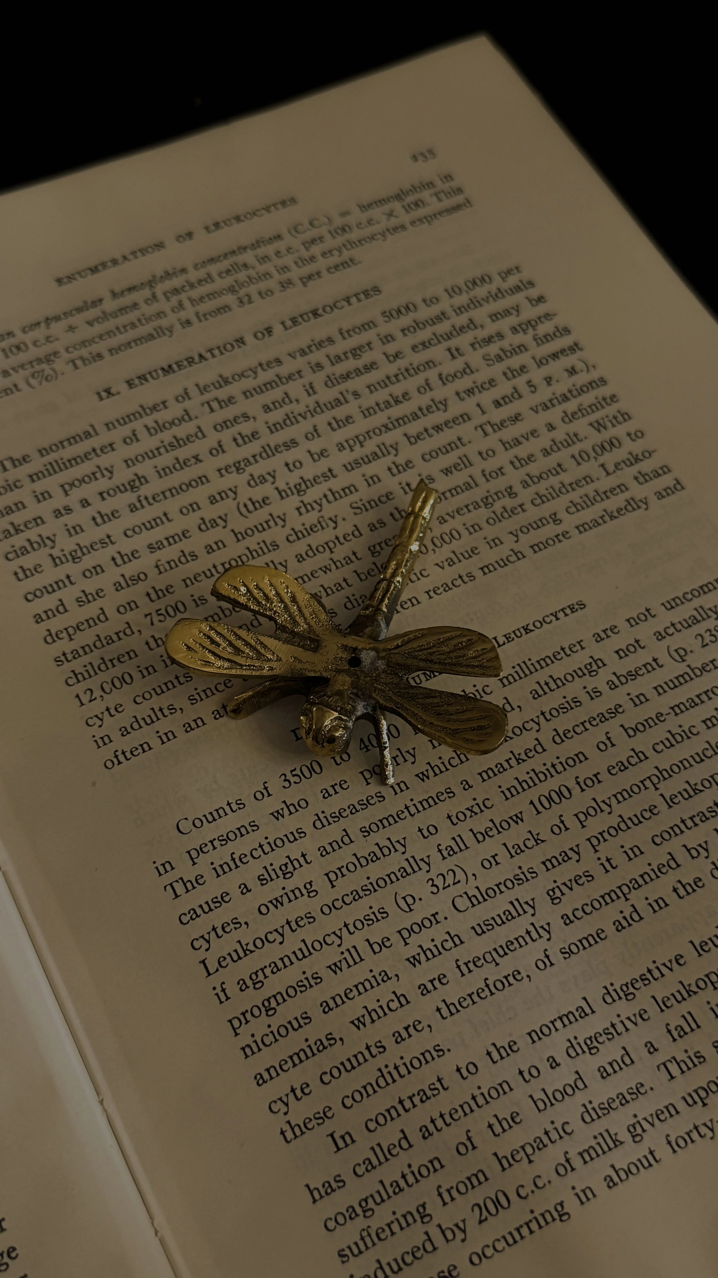 Brass Dragonfly Incense Holder