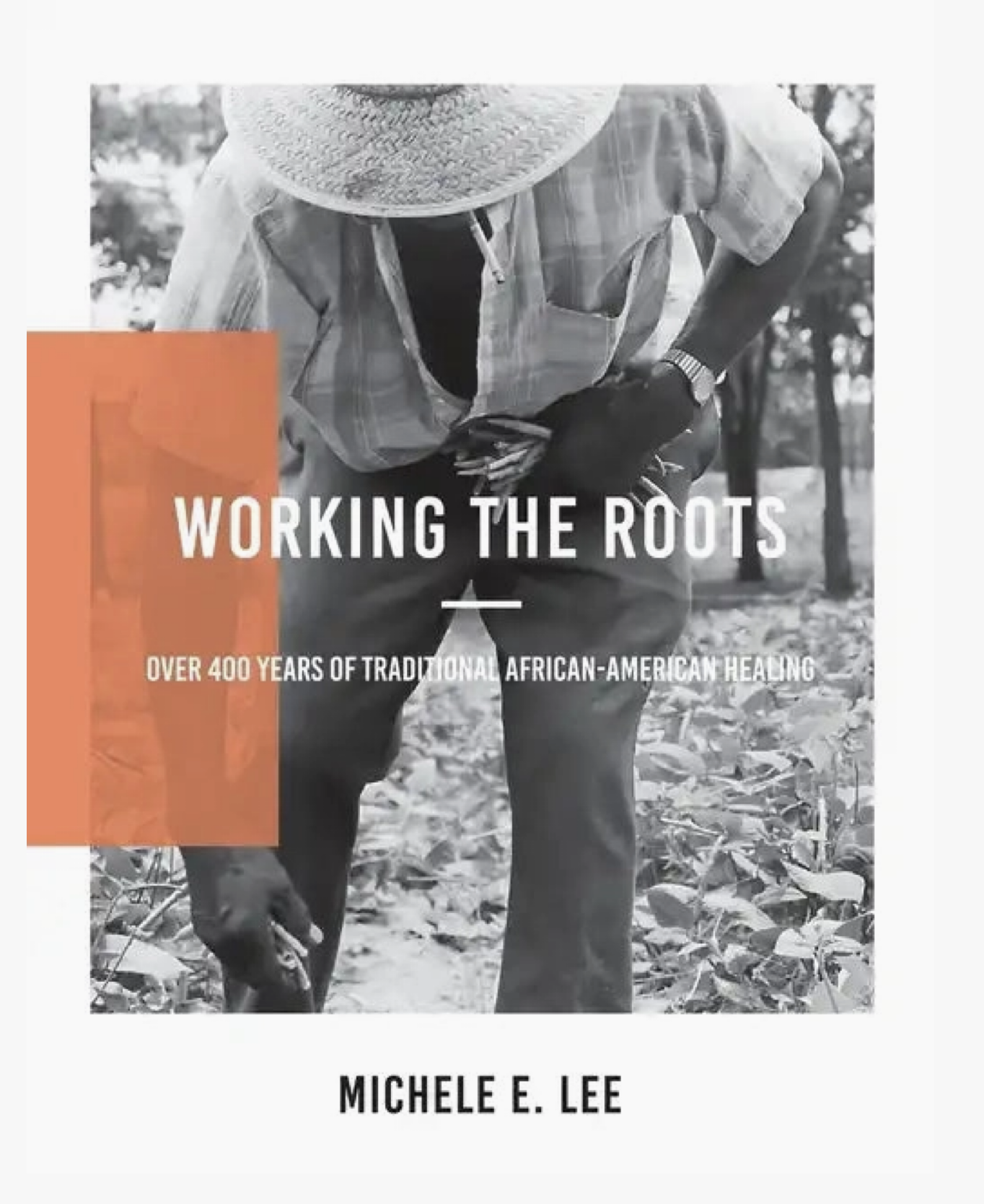 Working The Roots: Over 400 Years of Traditional African American Healing - Paperback