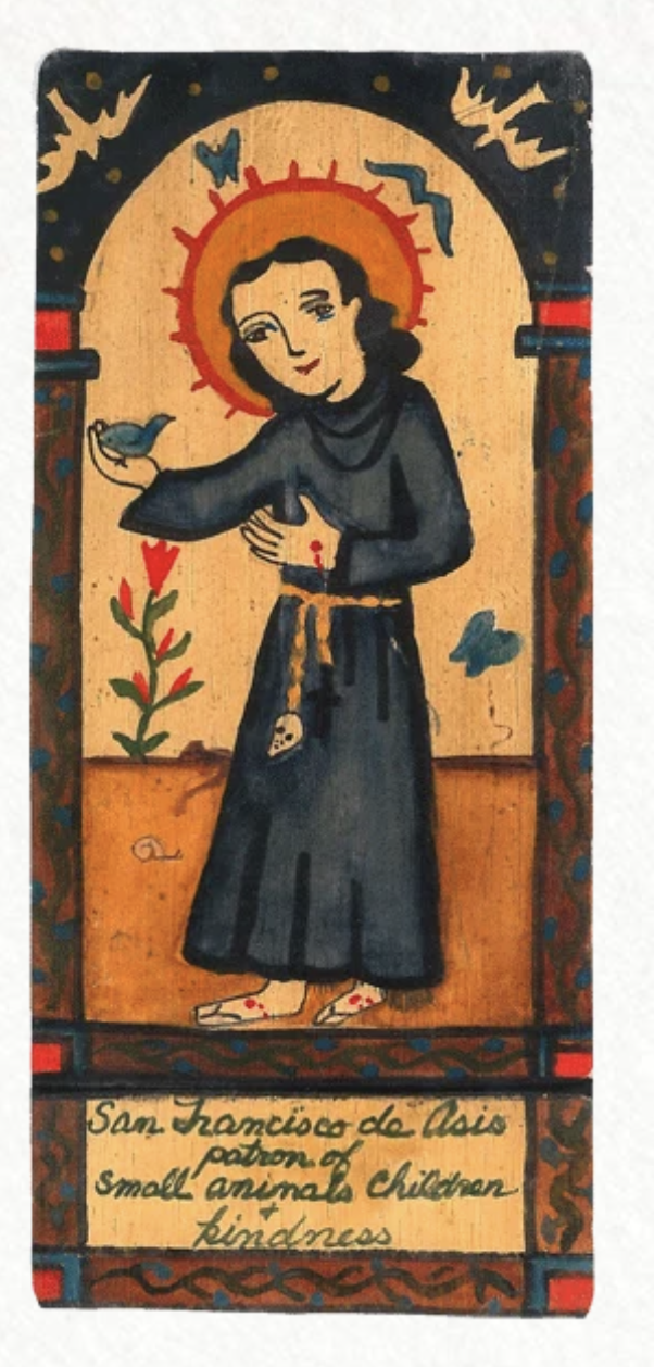 San Francisco De Asisi Pocket Saint