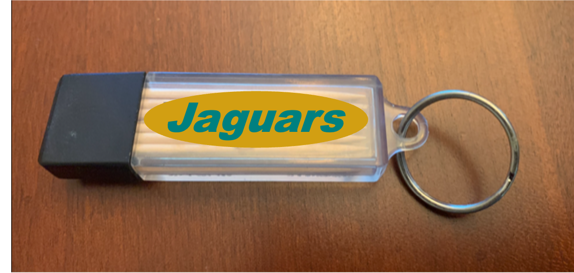 Teal & Black Toothpick Carrier