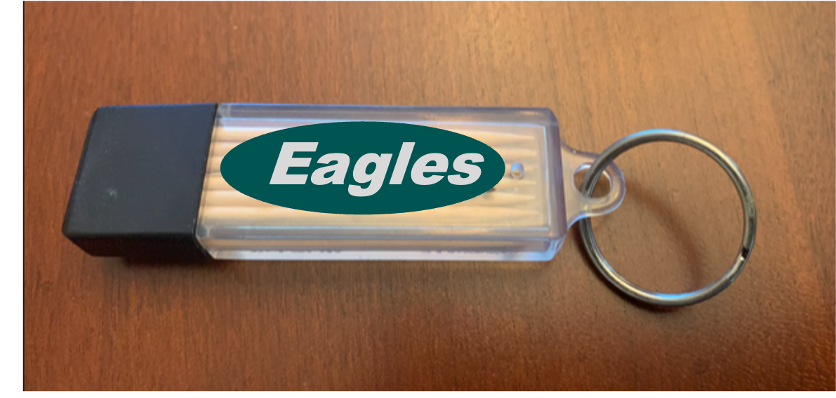 Midnight Green & Silver Toothpick Carrier