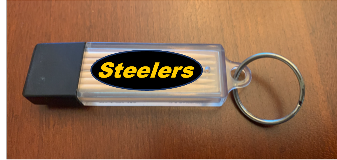 Black & Gold Toothpick Carrier