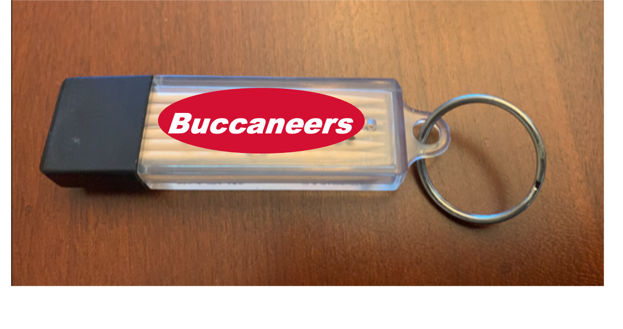 Red & Pewter ToothPick Carrier