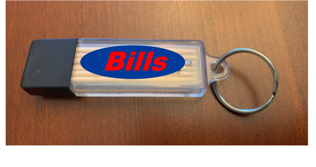 Royal Blue & Red Toothpick Carrier