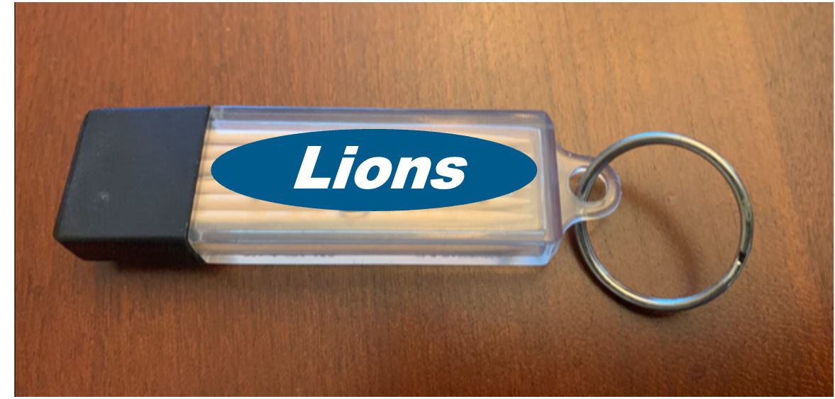 Blue & Silver Toothpick Carrier