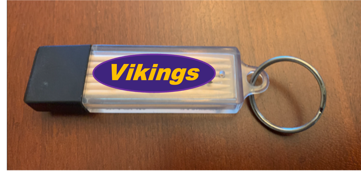 Purple & Gold Toothpick Carrier