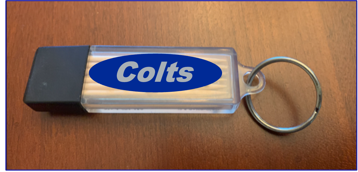 Royal Blue & White Toothpick Carrier