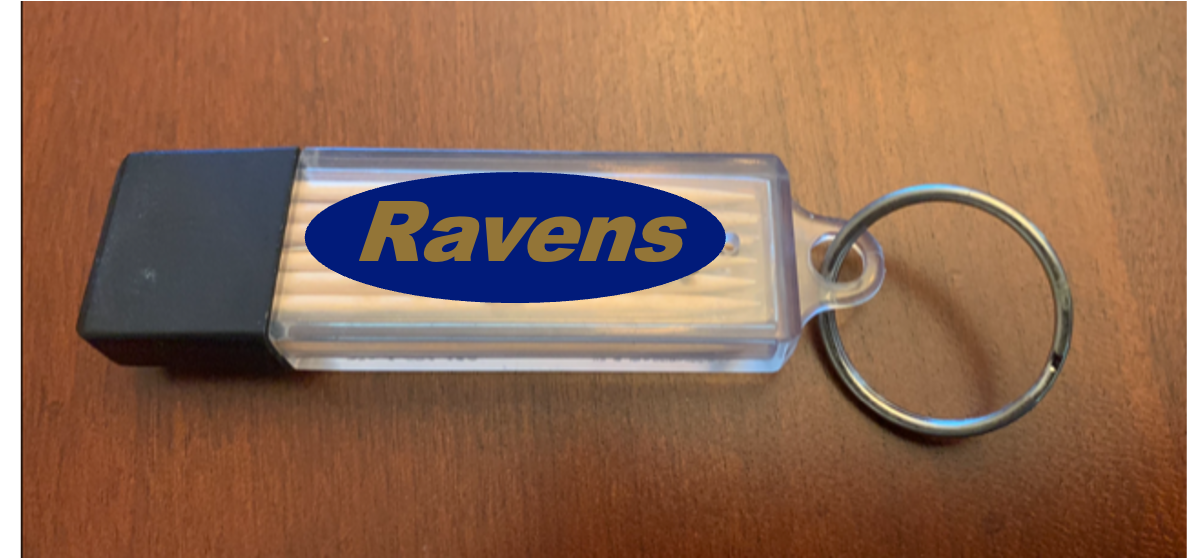 Purple & Black Toothpick Carrier