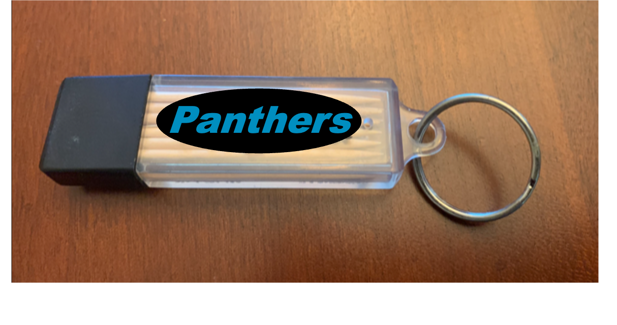 Blue & Silver Toothpick Carrier