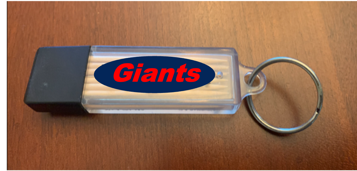 Blue & Red Toothpick Carrier