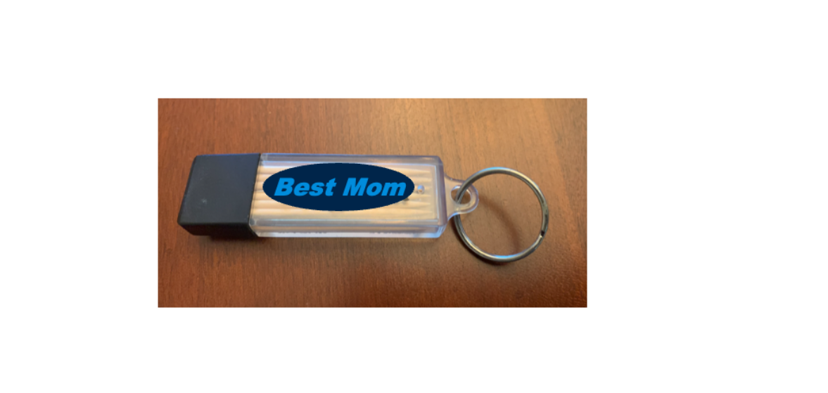 Best Mom Toothpick Carrier - Classic Blue