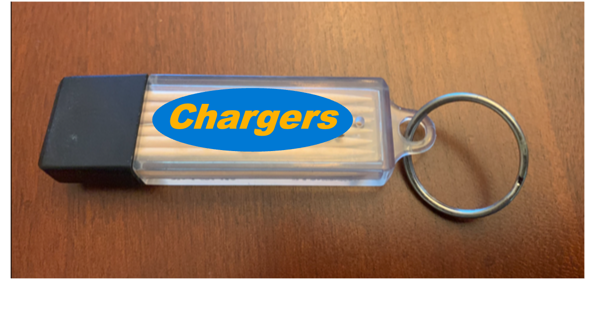 Powder Blue & Gold ToothPick Carrier