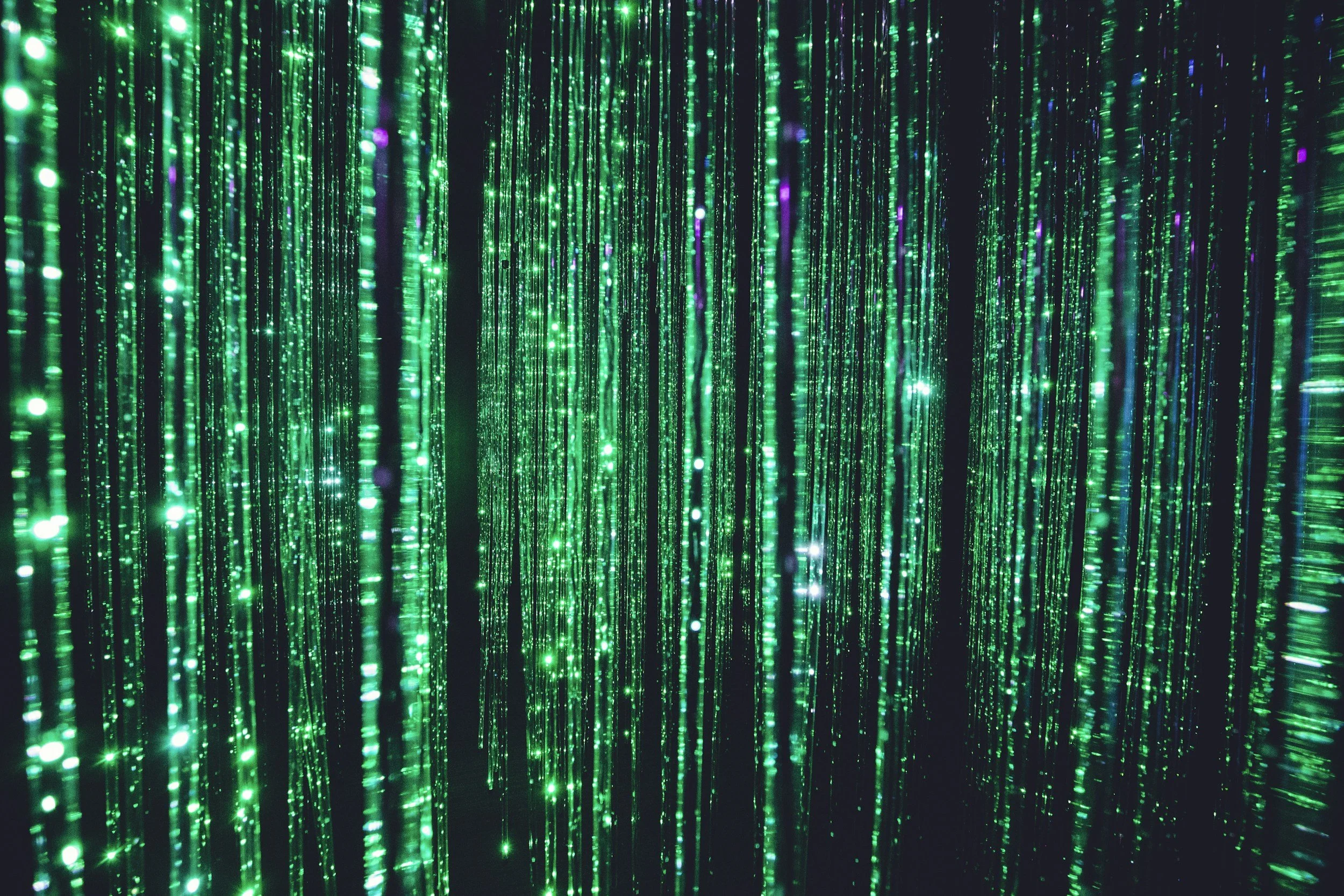 Medicare Lab Payment Suspensions: Responding to CMS's $1.6 Billion AI Fraud Crackdown