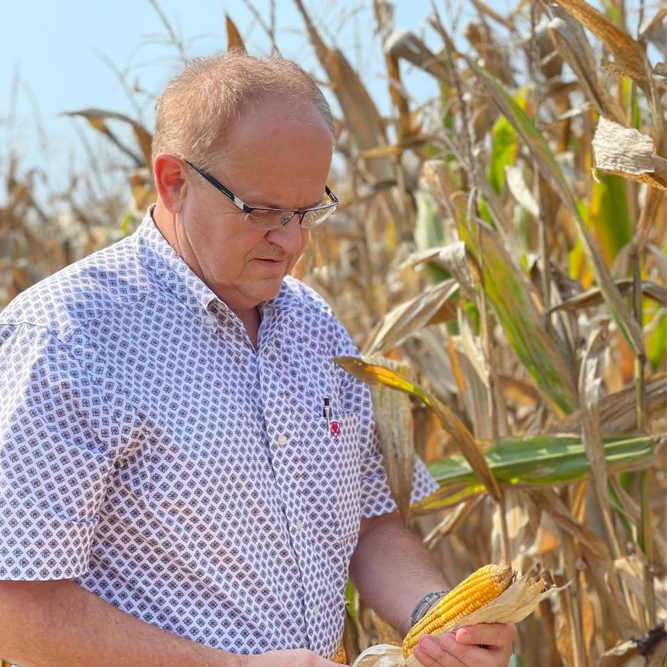 A man with glasses and short, light hair wearing a patterned shirt inspects an ear of corn in a cornfield.