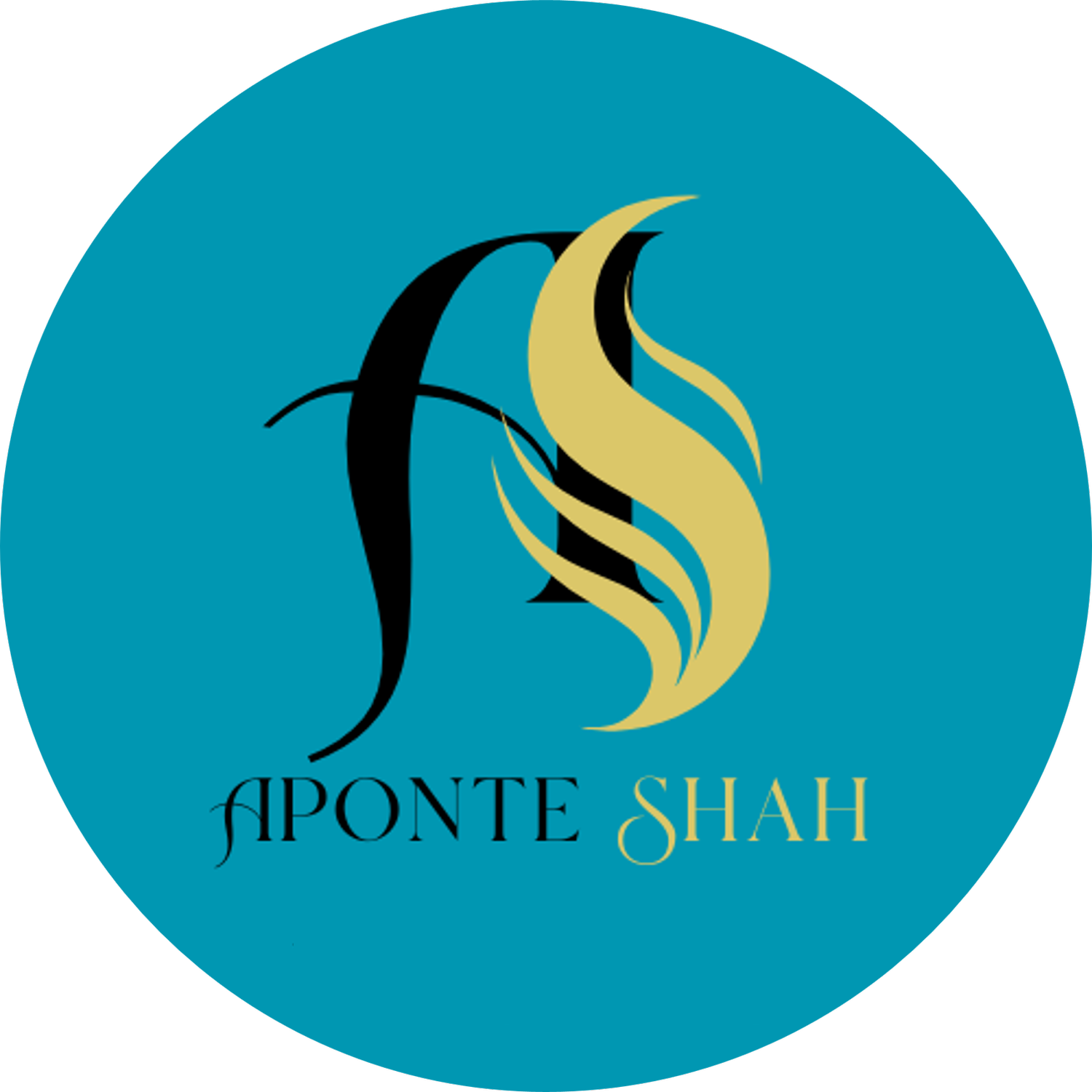 Aponte Shah Thoughts