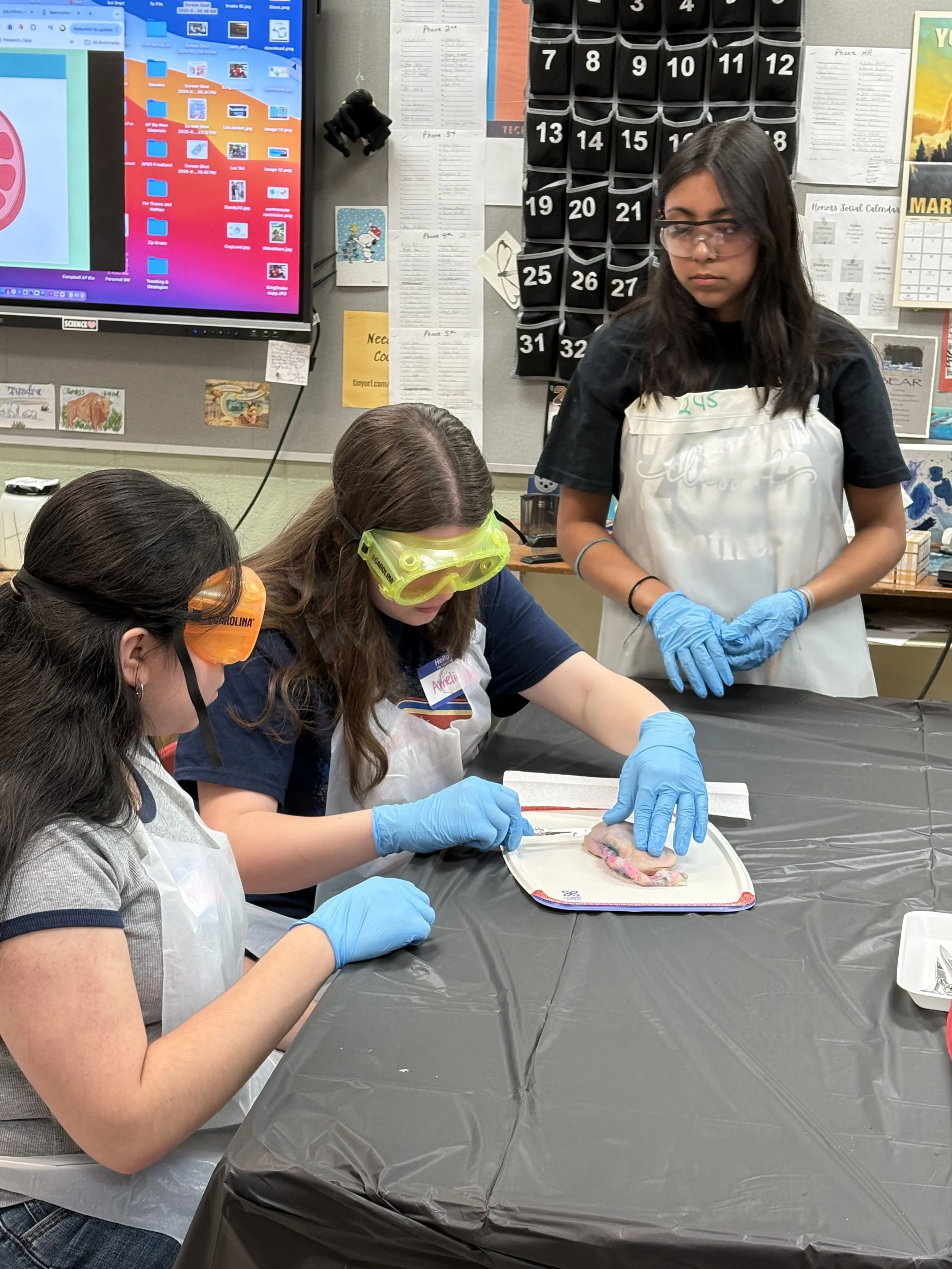 Three girls wearing safety goggles, gloves, and aprons conducting a science experiment with a Petri dish on a black table in a classroom.