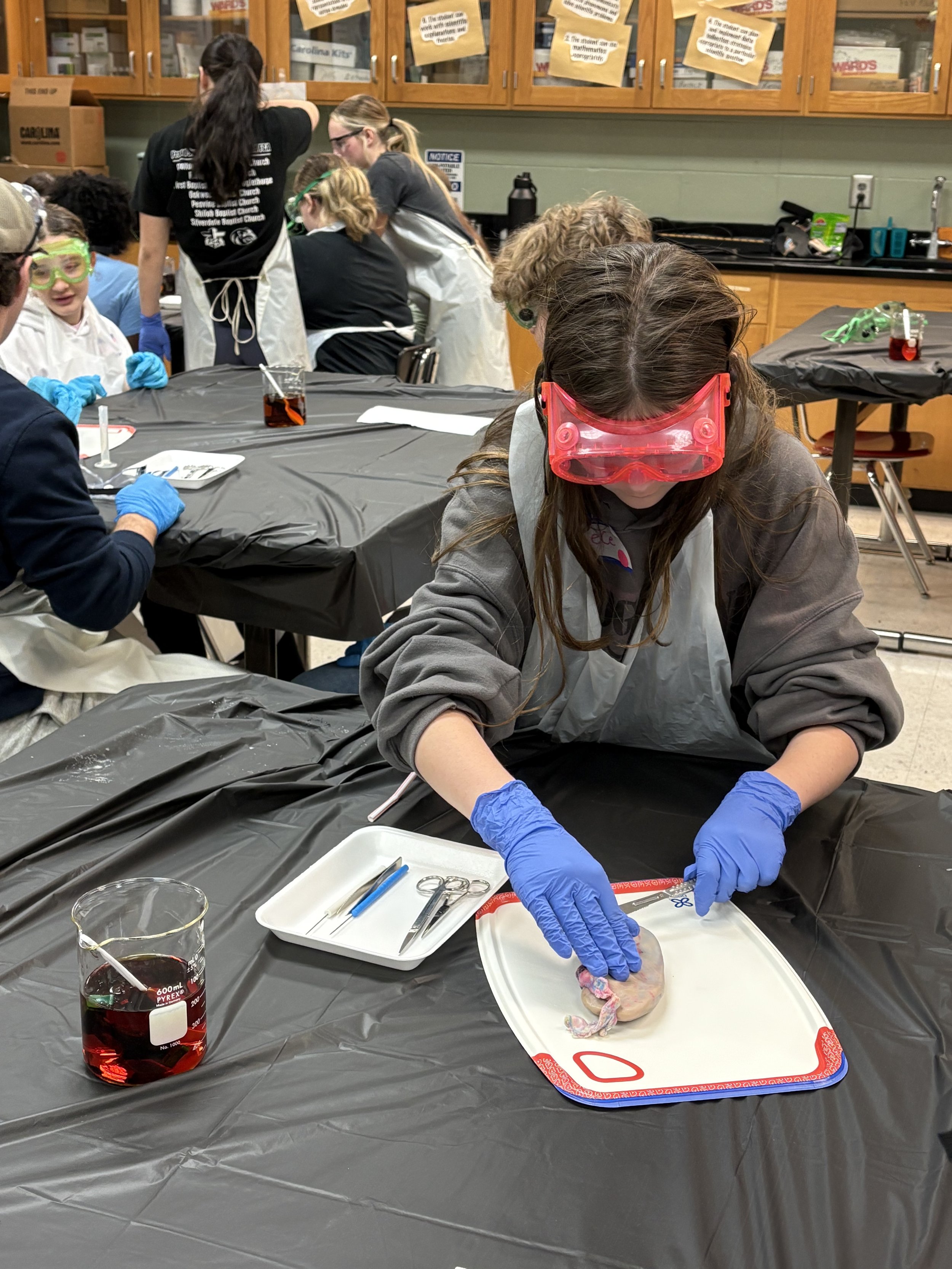 A girl wearing red safety goggles and blue gloves conducts a science experiment with a specimen on a tray in a classroom. Other students and teachers are seen working at tables covered with black plastic, with science supplies like scissors, tweezers