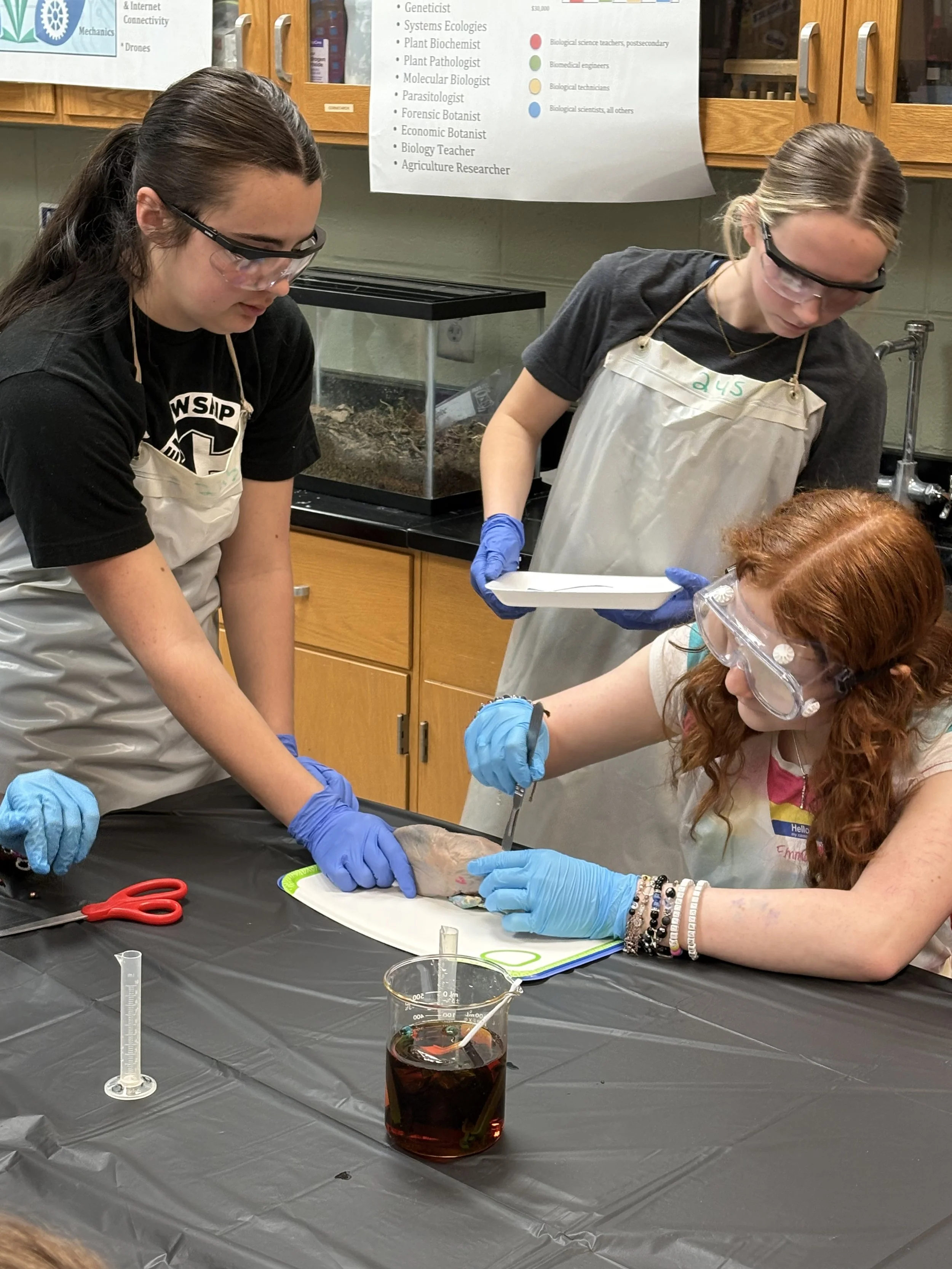 Three students in a science laboratory are conducting a dissection. They are wearing safety goggles and gloves, and working with a dissected animal on a tray. Lab equipment such as scissors, beakers, and a syringe are on the table. Two students are s