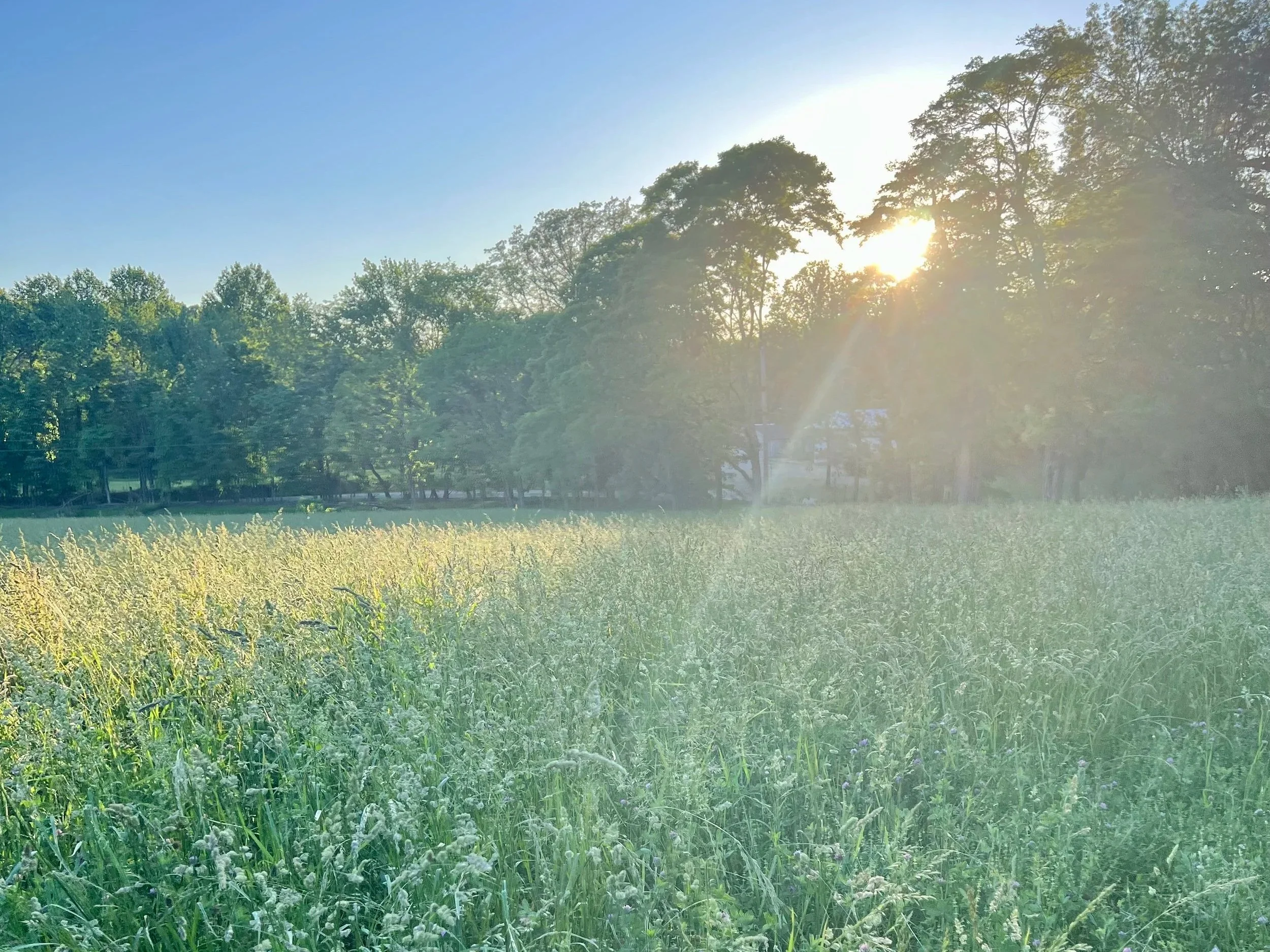 Lilly Hill Grass Pasture