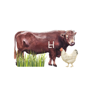 A brown cow with an H branded on its side standing on grass, next to a white chicken.