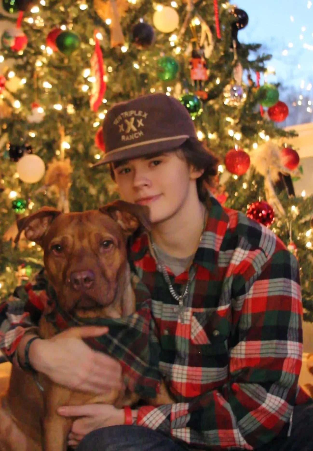 A young person with dark hair wearing a red and green plaid shirt and a baseball cap, holding a brown dog, in front of a decorated Christmas tree with ornaments and lights.