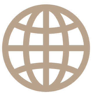 A stylized globe logo with interconnected lines.
