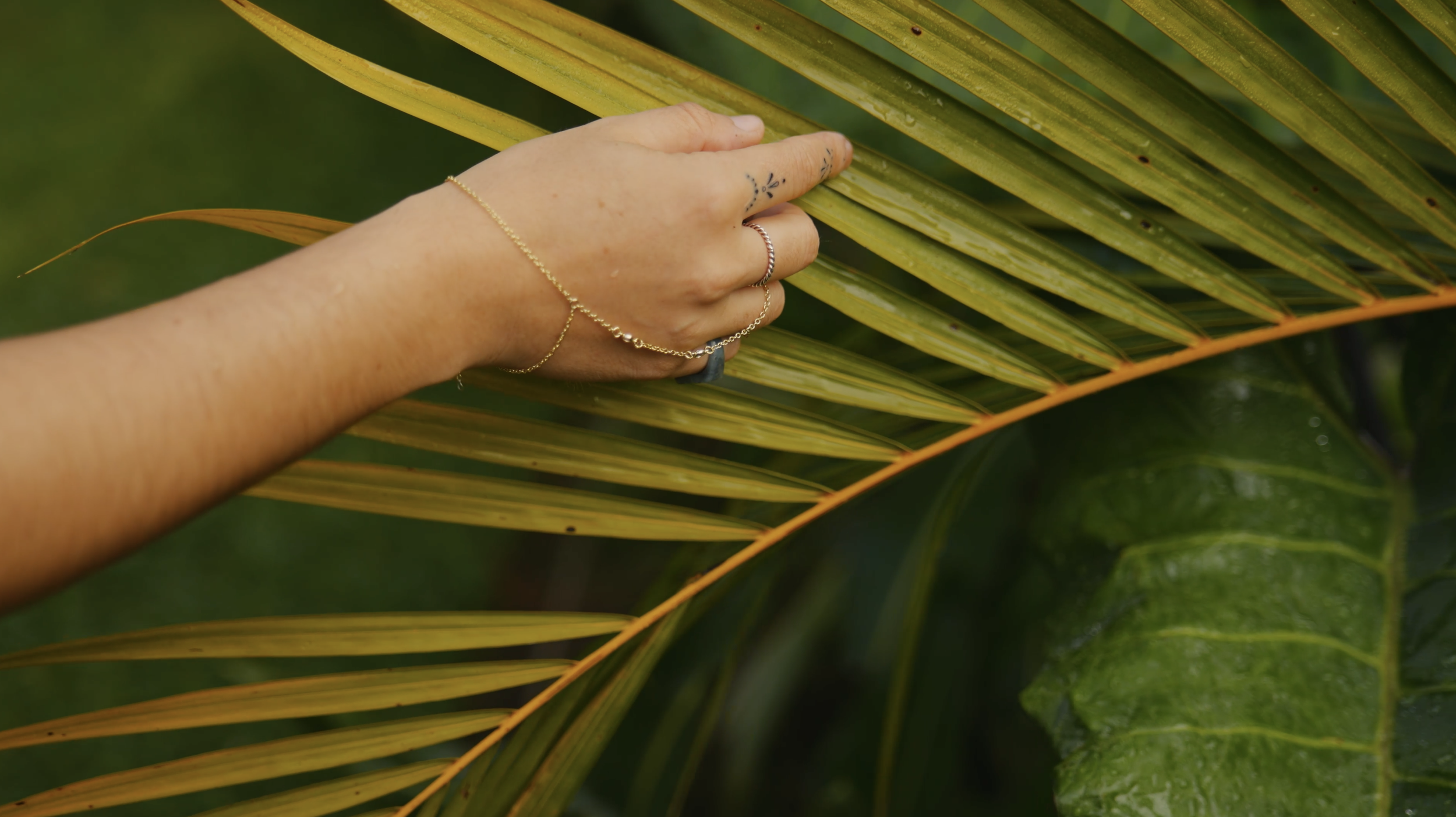A hand with jewelry touching a large green and yellow palm leaf.