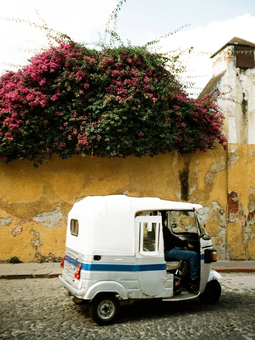 A white and silver auto rickshaw parked on cobblestone street in front of a yellow, weathered wall with pink flowering bush above.