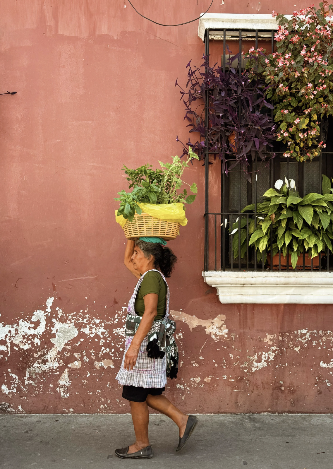 An older woman walking past a pink wall with a balcony. She is carrying a basket of green plants on her head, wearing a plaid apron, black skirt, green shirt, and slip-on shoes.