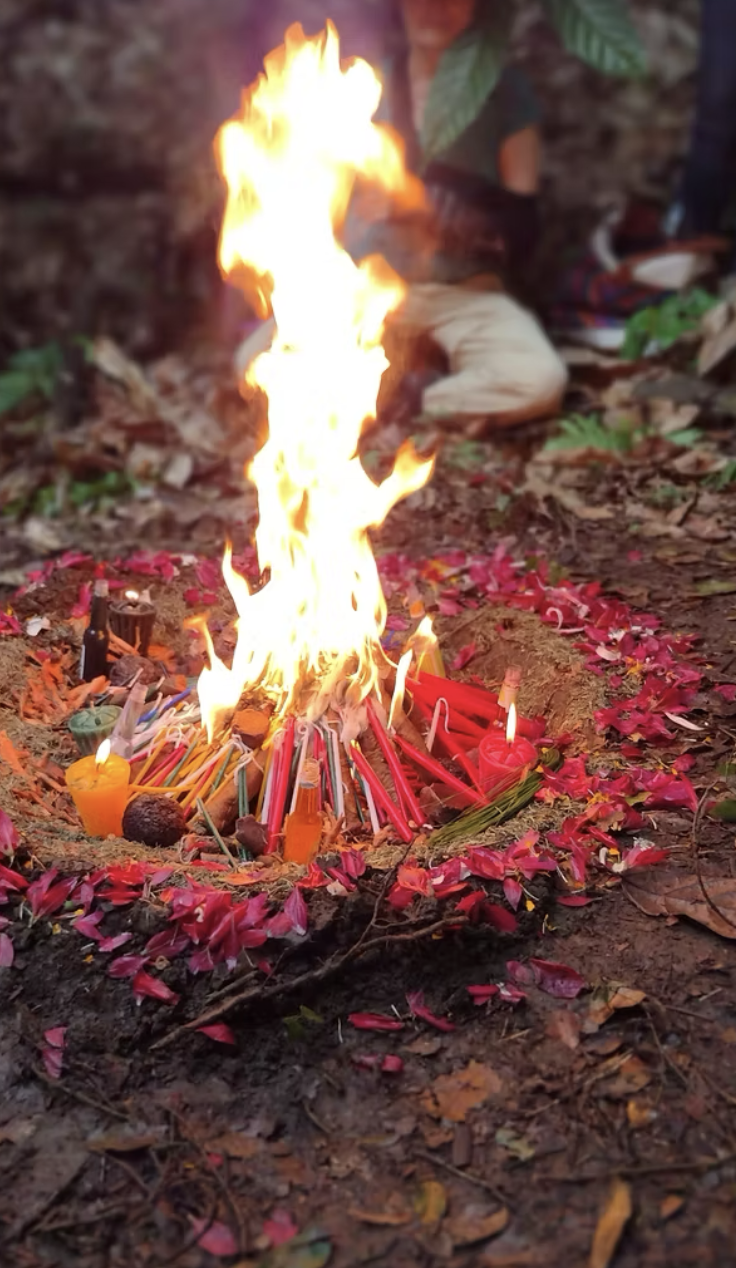 A small outdoor altar with burning candles and offerings, surrounded by rose petals, in a natural setting with leaves and greenery.