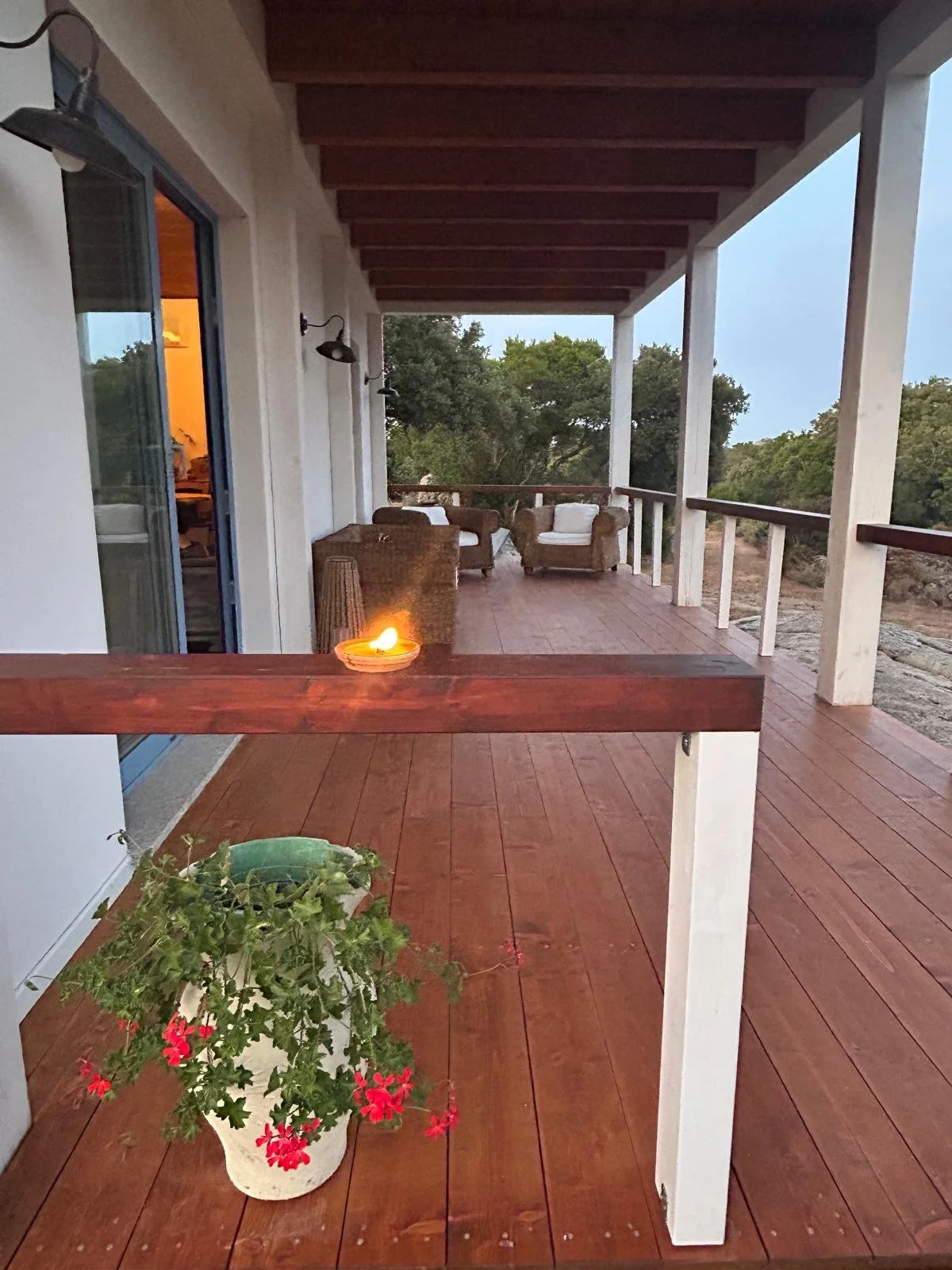 Terrazza in legno con piante in vaso e sedie in fondo, vista su alberi e natura