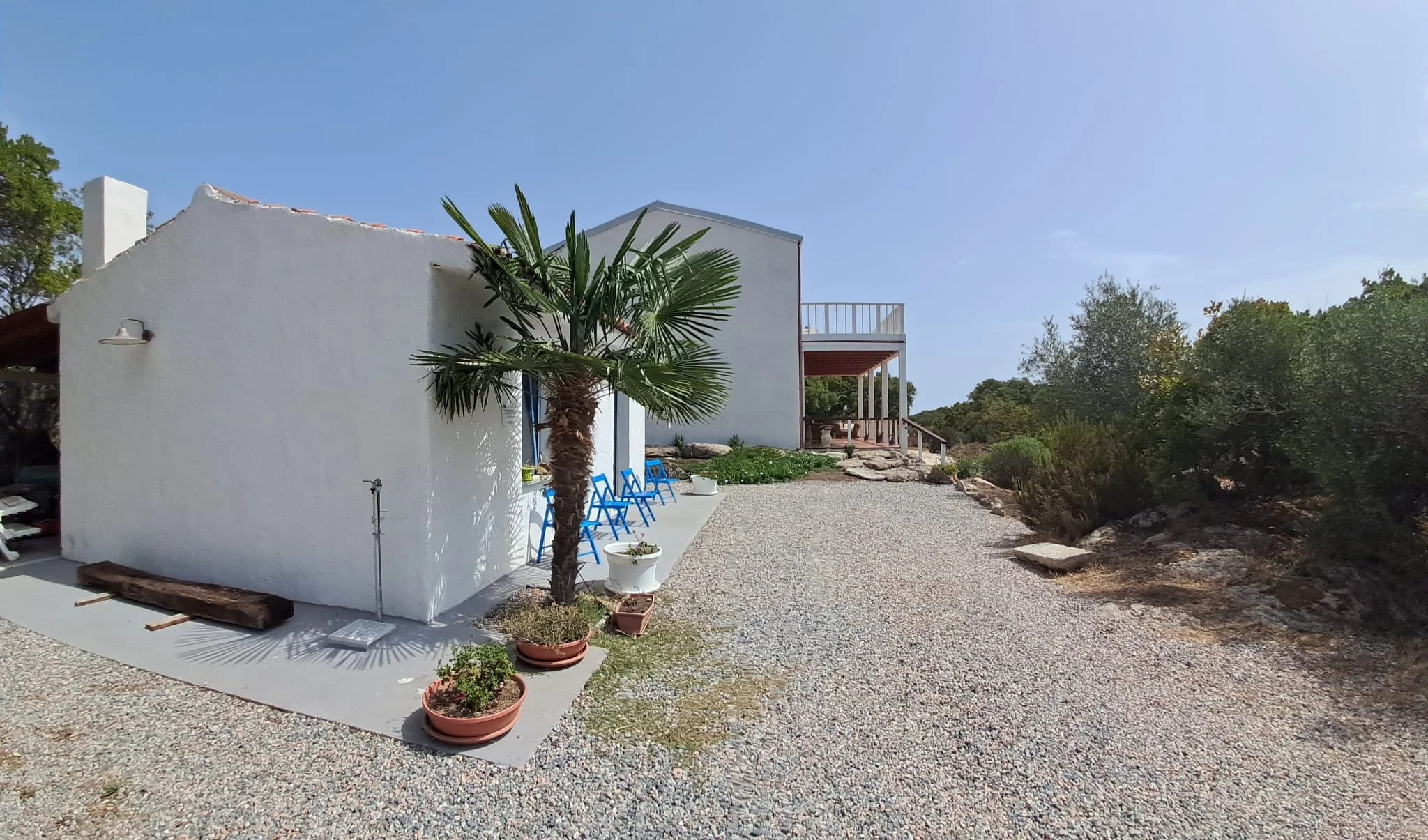 Casa bianca con veranda, piante in vasi e un albero di palma all'aperto, su un sentiero di ghiaia sotto un cielo azzurro