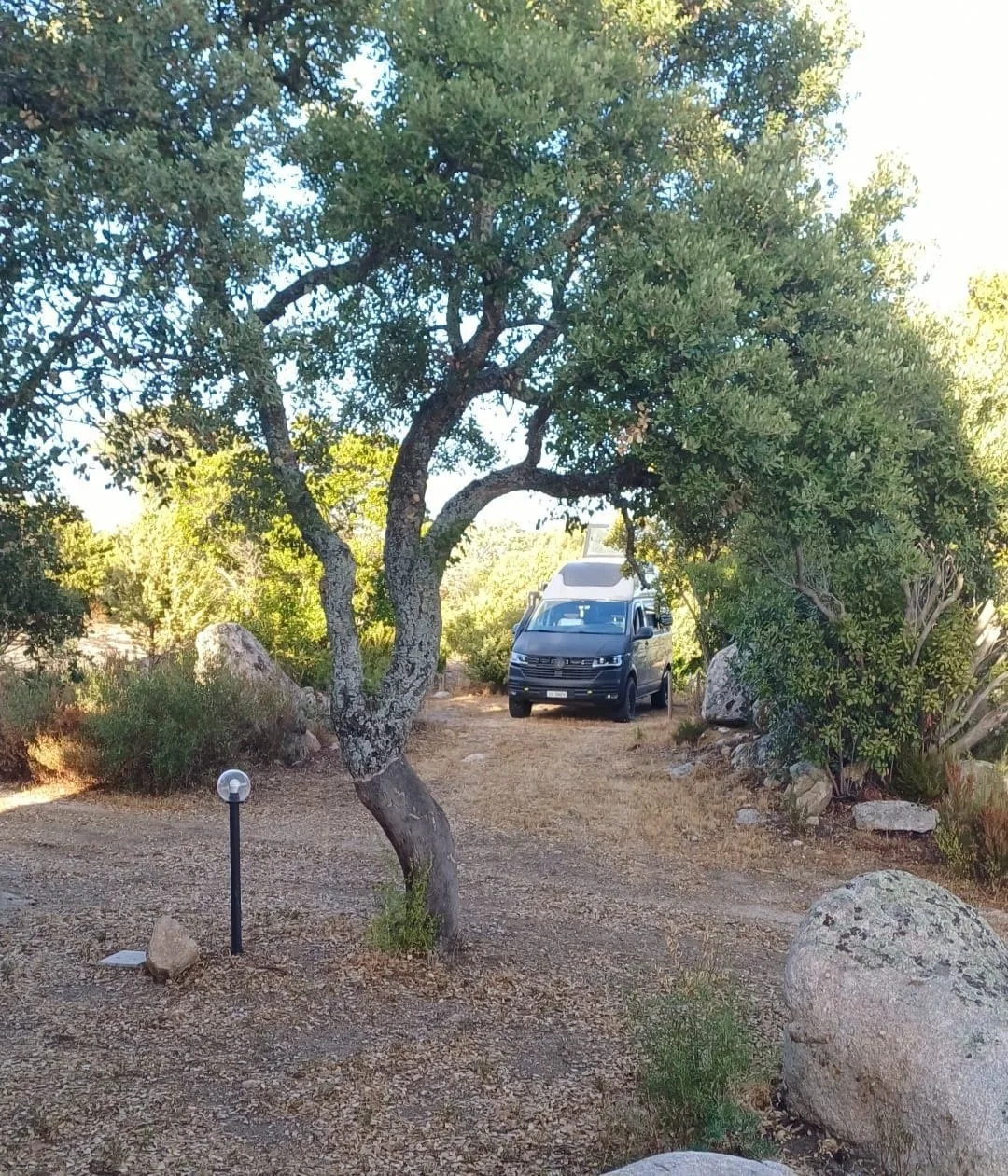 Un camper parcheggiato in un'area naturale con alberi, rocce e natura