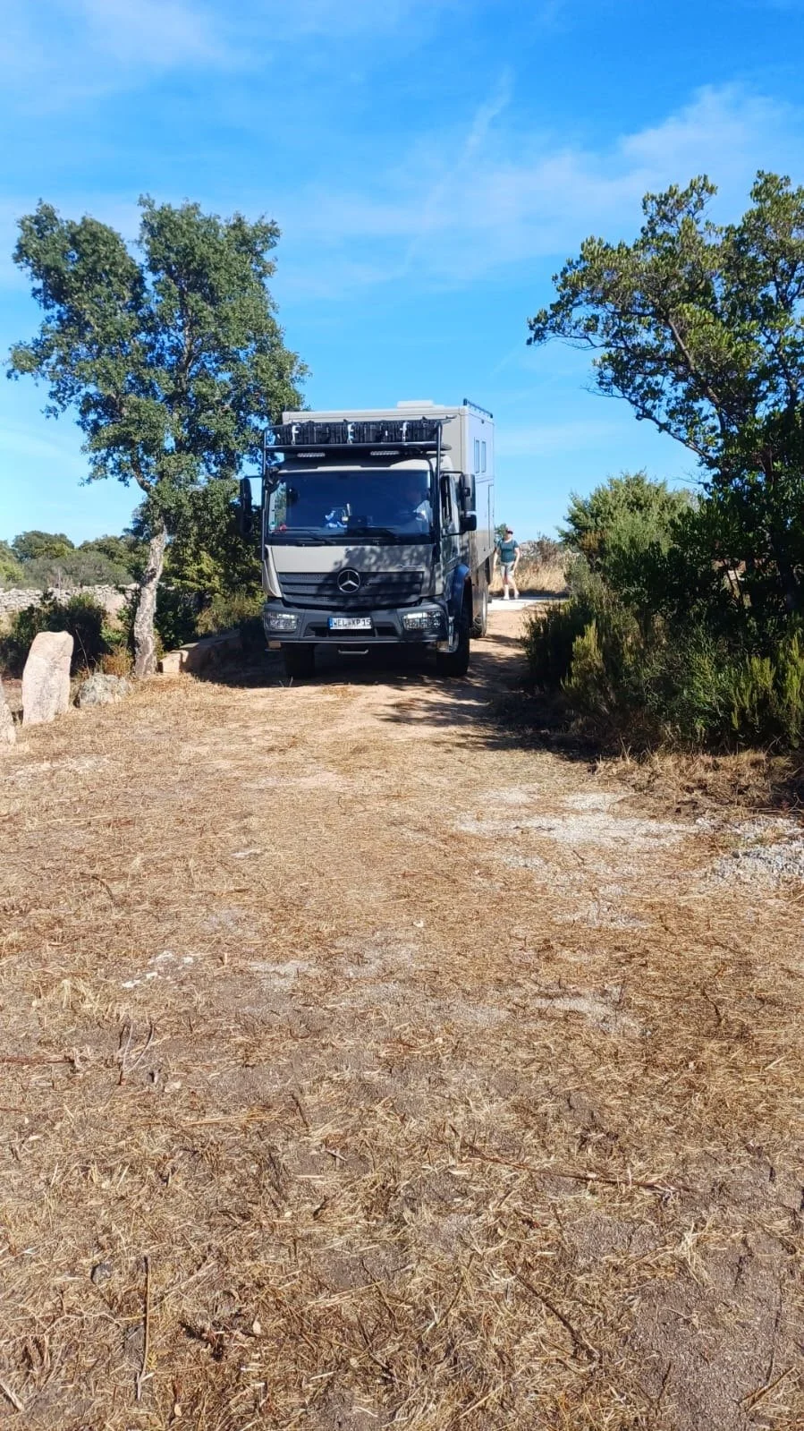 Un grande camper in area di sosta con alberi e cespugli verdi, cielo sereno sopra.