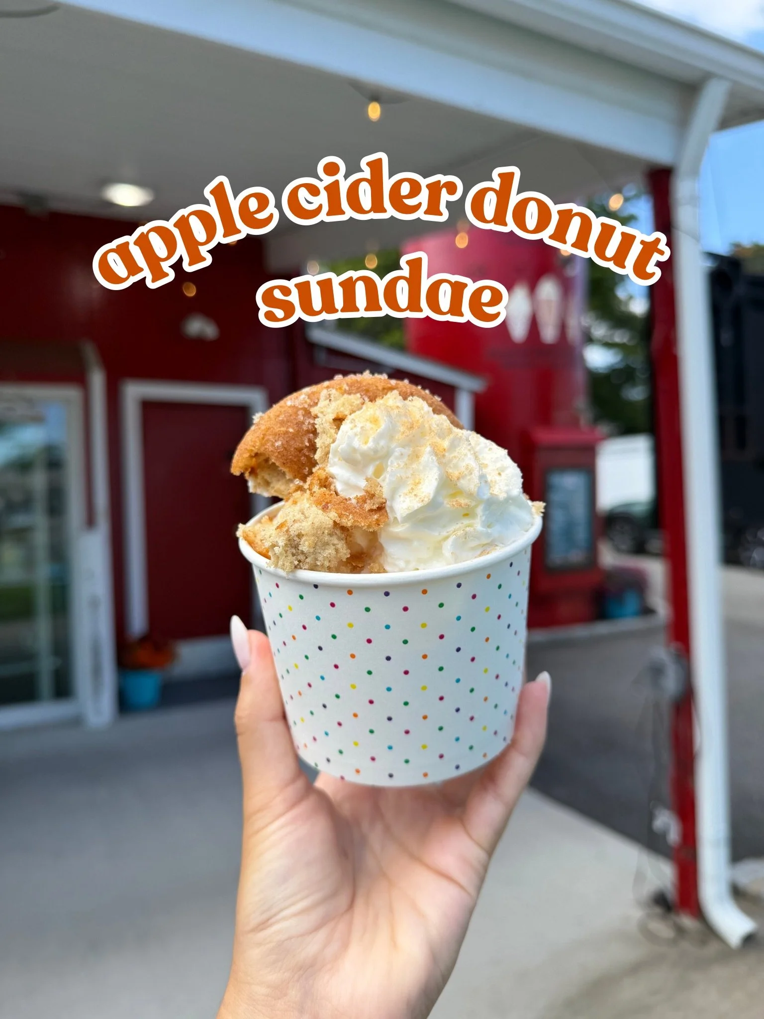apple cider donut.JPG