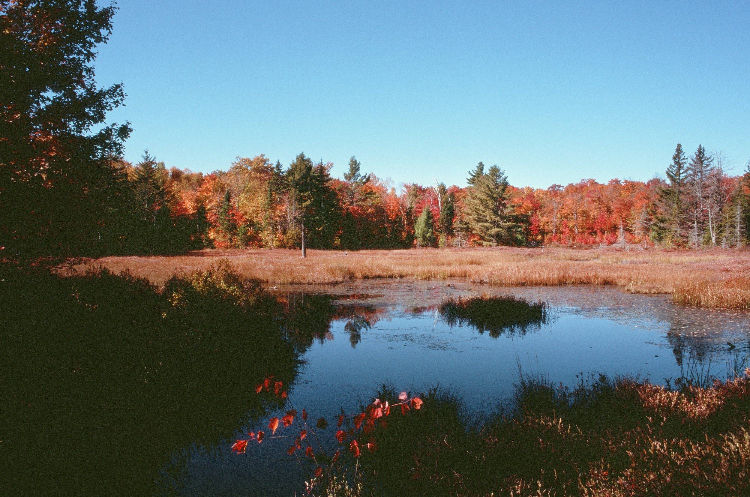 000061780018 copy.jpg