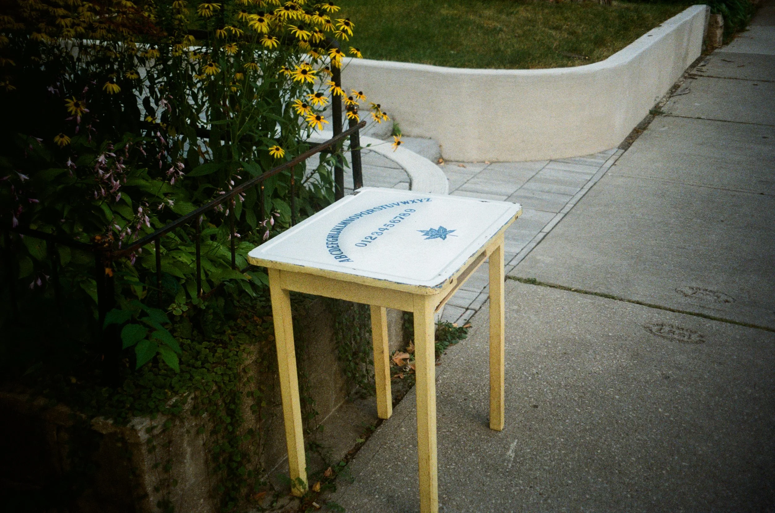 000063550009 copy.jpg