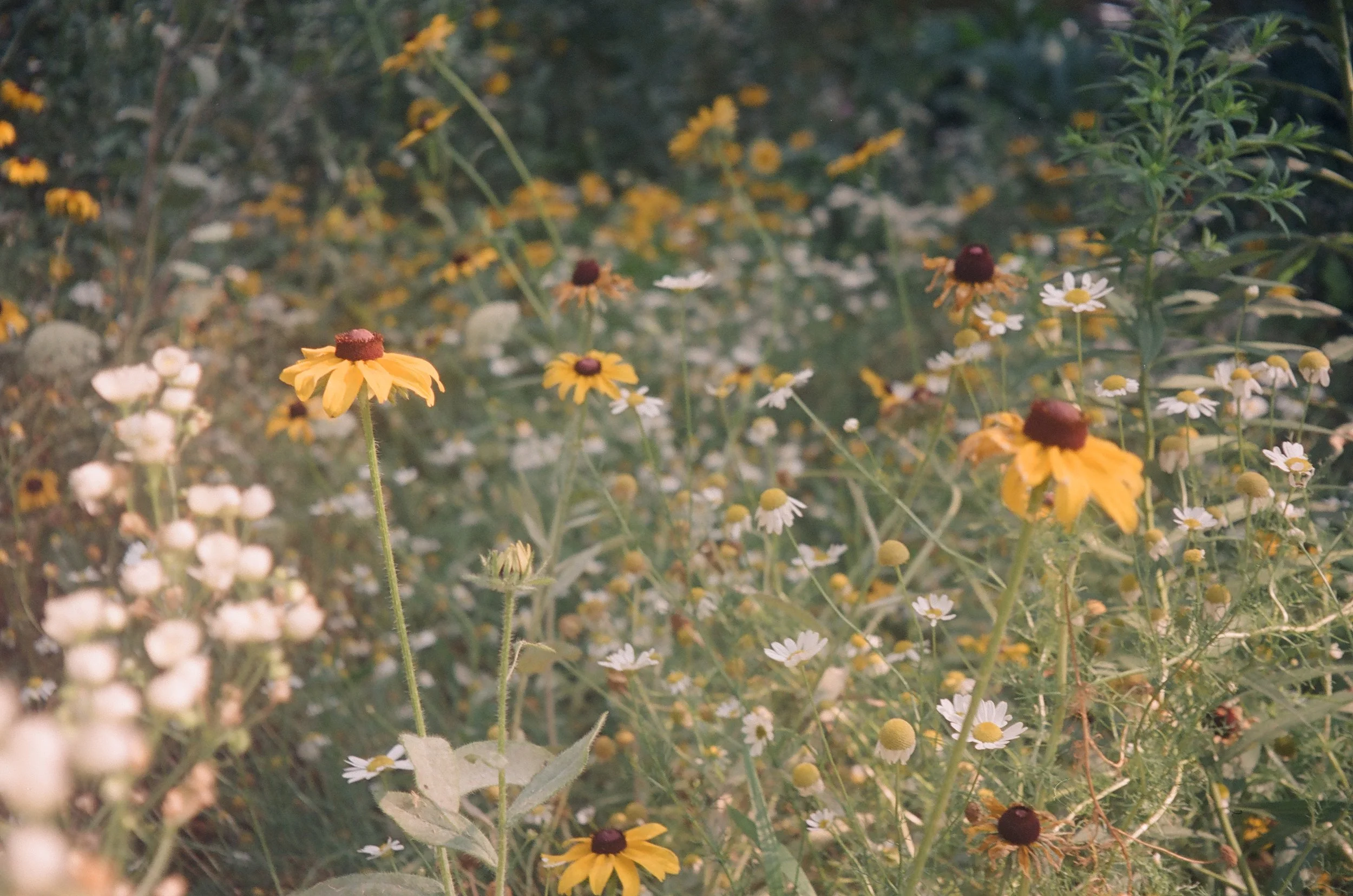 000028790017 copy.jpg