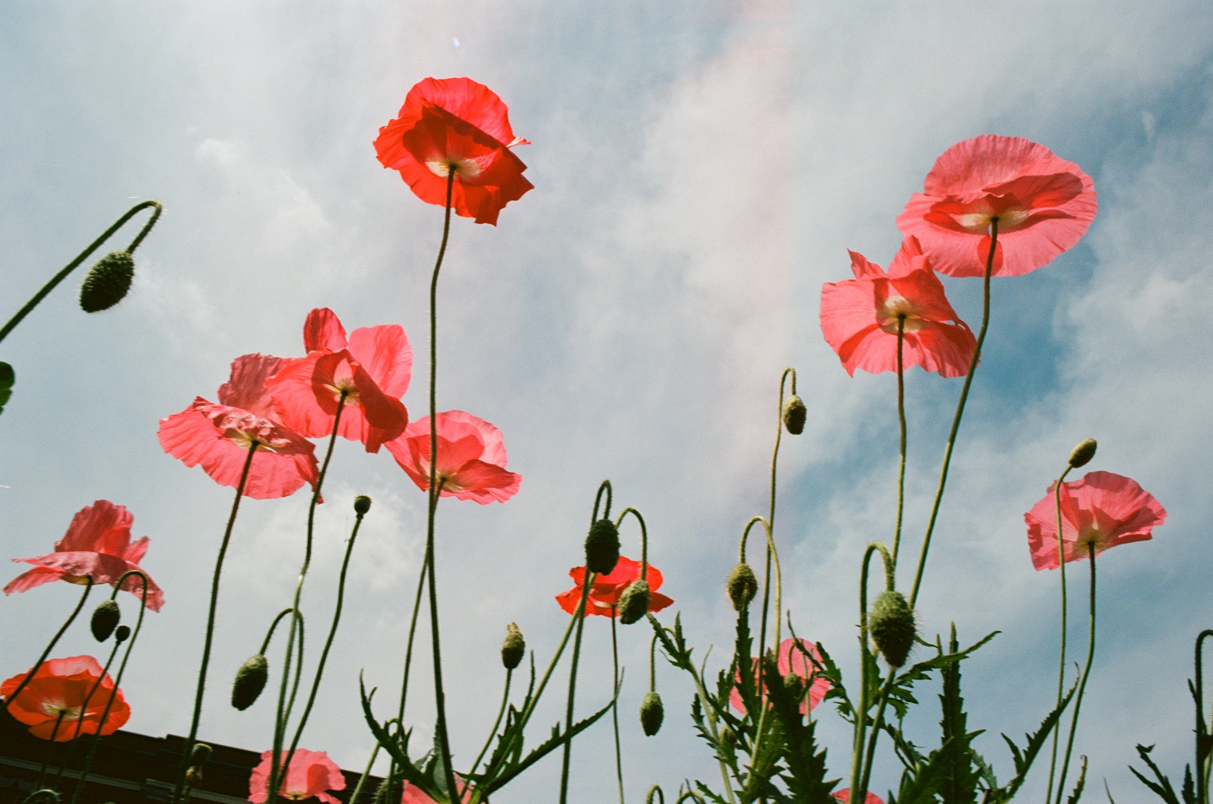 000022820006 copy.jpg