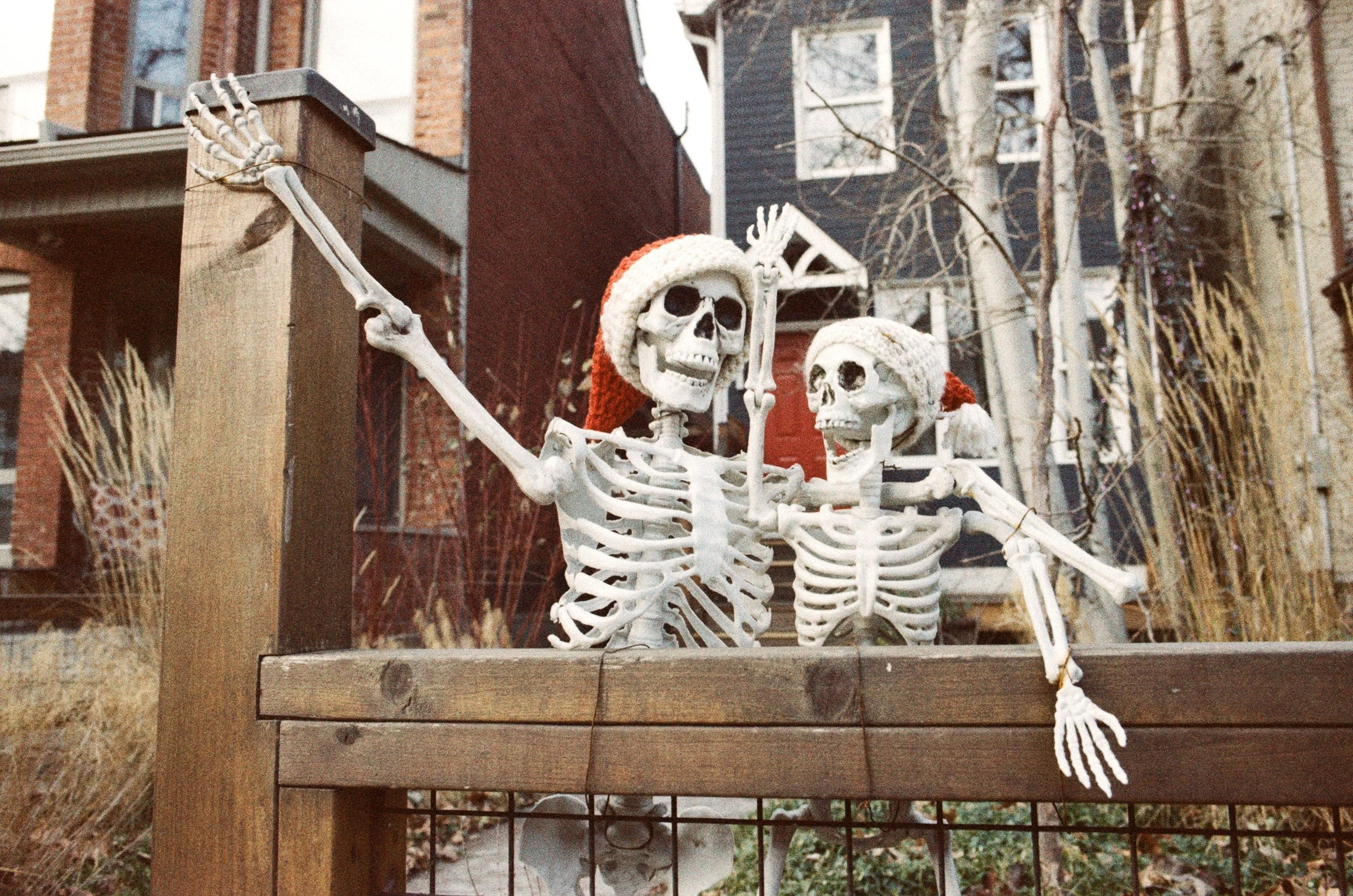 000042830001 copy 2.jpg