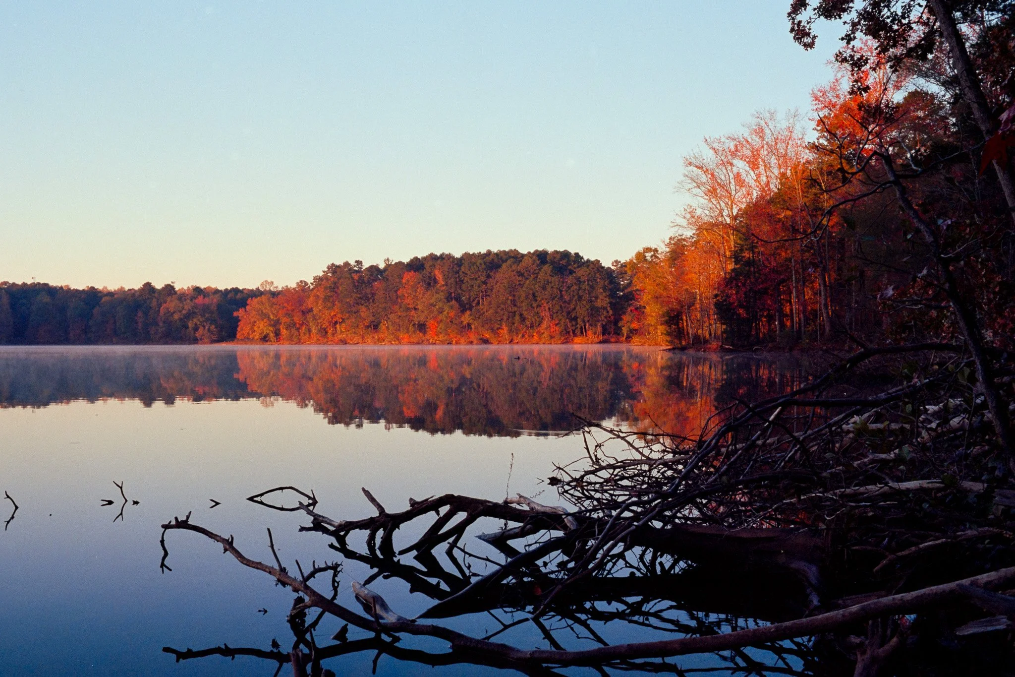 Calm lake during autumn with trees reflecting in the water, and fallen branches in the foreground.