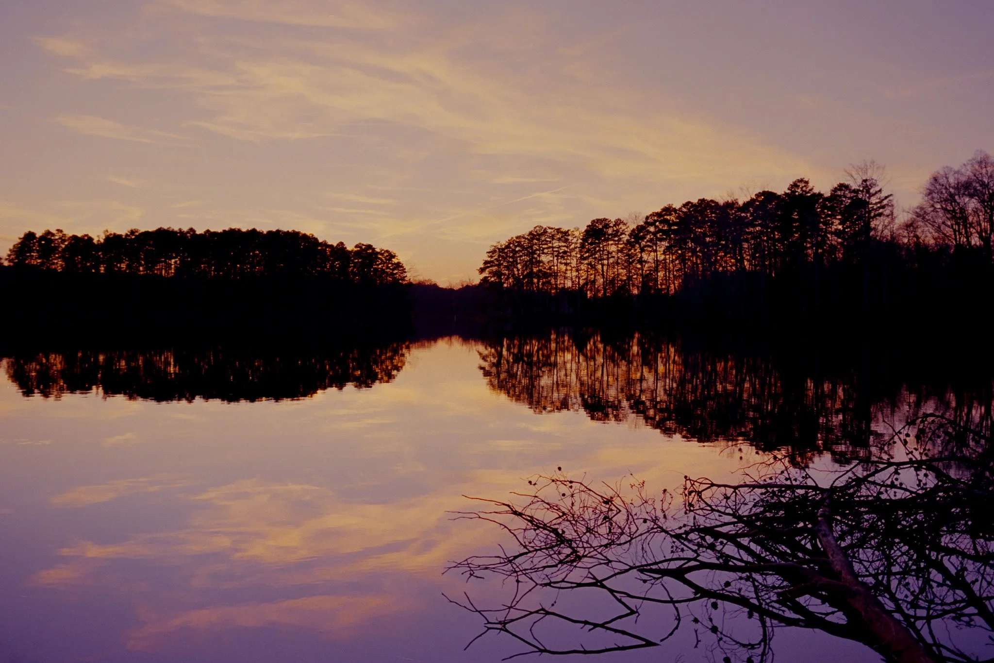 Sunset over a calm lake with reflected silhouettes of trees along the horizon, with pastel-colored sky and some branches in the foreground.